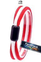 FanBrace COLOR Köln