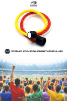 FanBrace COLOR Berlin Ost