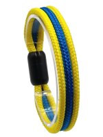 FanBrace COLOR Braunschweig
