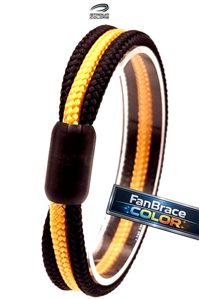 FanBrace COLOR Pittsburgh