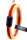 FanBrace COLOR San Francisco